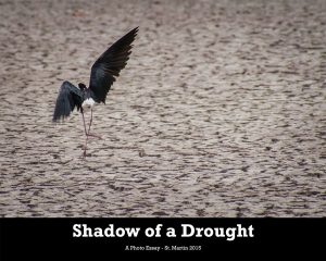 Shadow-of-a-Drought