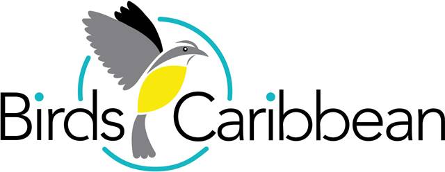 BirdsCaribbean-logo