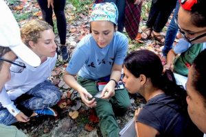 Local and international students learn about how migratory birds are captured and banded for research in the Boca de Canasí Ecological Reserve in Cuba.  (Photo by Juan Luis Leal)